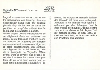 Teguidda N'Tessoumt — Dromadaires i solone — Photo-Michelin Renardau S.A. XXXV-E1 — Rewers