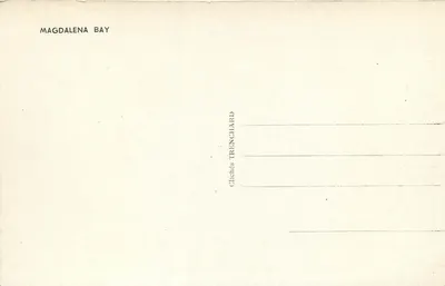 Magdalena Bay — widok na góry i lodowiec — wydawca Chenés Trenchard — Rewers