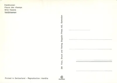 Kwitnace pola — tła z górami — Engadin Press AG, n°299 — Rewers