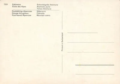 Fiori alpini — 4 scene — Stampa Svizzera n°7501 — Verso
