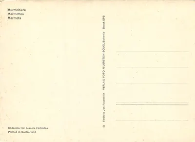 Marmotas — dois indivíduos comendo grama diante de uma parede rochosa — VERLAG FOTO FEUERSTEIN, n°53 — Verso