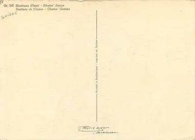 Gentiana de Clusius - Gentianas de Clusius — Gr. 247 — Thor-E Oyger - Aodelhoden — Verso