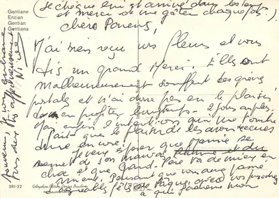 Gentiana enziana — Gentiane — Edizione Dériz Baublume, n° 381-22 — Verso