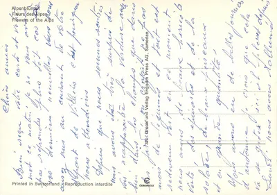 Flowers of the Alps — Alpenblumen — Flowers of the Alps — Samedan AG, n°324 — Back