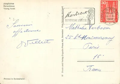 Dwa młode lisy — Jungfuchse — Foto Schmid, Amriswil — Rewers