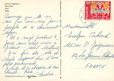 Cerf w strumieniu zamarzniętym — Cervus elaphus L. — Verlag D. Feuerstein, n°58 — Rewers