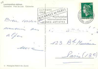 Edelweiss — Leontopodium alpinum — Photoglob-Wehrli SA, Zurique, n°11 — Verso