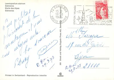 Edelweiss — Leontopodium alpinum — Edelweiss Press AG, n°363 — Verso