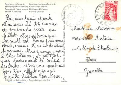 Anêmone amarela e gentiana cortada — Editor Engadin Press AG, n° 1264 — Verso