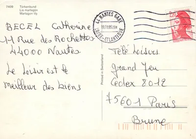 Lis martagon — montanhas nevadas — Türkenbund, n° 7409 — Verso