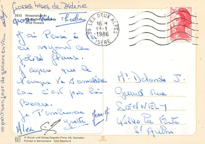 Flores do campo — Wiesenblumen — editor Druck und Verlag Engadin Press AG, Samedan, n° 3513 — Verso