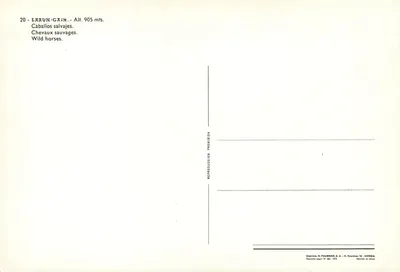Larun-Gain — Cavalos Selvagens — H. Fournier, 1972 — Verso
