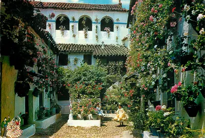 Patio andaluz — típico patio andaluz — BEASCOA n°810