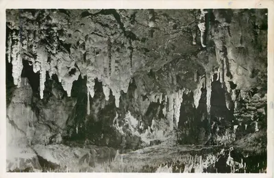 Gruta das Bären- und Karlshöhle — Erpfingen/Schwäb. Alb — Fotografia Echtle Nr. 1847