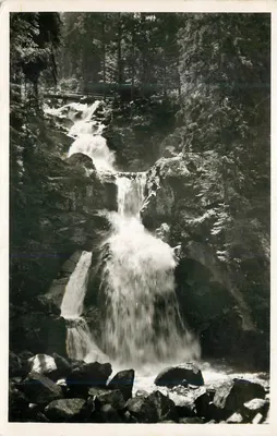 Cascata de Triberg — editor Emil Hartmann, Mannheim, n° 2485