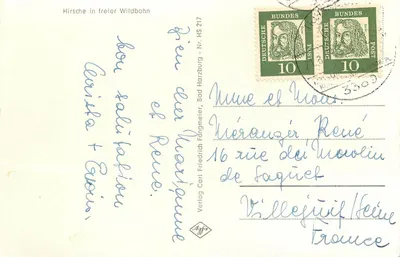 Języki w dzikiej przyrodzie — Verlag Carl Friedrich Fangmeier, Bad Harzburg, Nr. HS 217 — Rewers