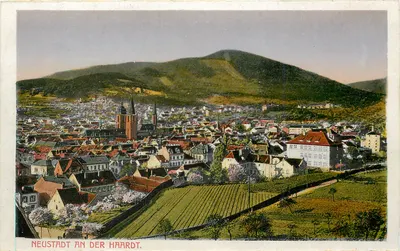 Neustadt an der Haardt — vista panorâmica — Verlag von Emil Hartmann, Mannheim