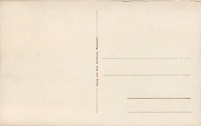 Neustadt an der Haardt — vista panorâmica — Verlag von Emil Hartmann, Mannheim — Verso