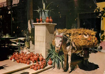 Świni z butelkami — Barcelonie i Valencji — Fotografia Campaña Puig-Ferrán, n°2660