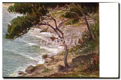 Paisagem costeira — pinheiro marinho na beira do mar — editor R.P.M. n° 5.82-3