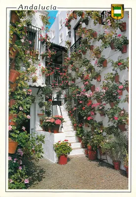 Pátio andaluz — Pátio andaluz — L. DOMINGUEZ, S.A. - Malaga