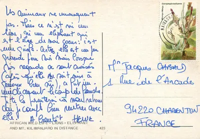 Lwy i słonie — Afryka dzika — wydawca African Wild Life, nr 423 — Rewers