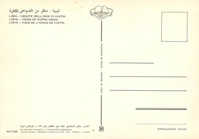 Kufra — Widok na oazę — Wydawca Salem Saadi, nr 431/128 — Rewers