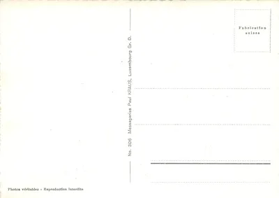 Clervaux — Ogólny widok, Zamek, Abp. św. Maurycjusza, Parafia — Messageries Paul Kraus, nr 306 — Rewers