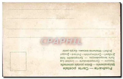 Flores de rosas — carta postal ilustrada — Verso