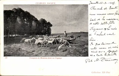 Rebanho de Ovelhas em um Paisagem — Charles Jacque — n°532