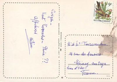 Dune di sabbia e erba — paesaggio costiero — a. van mieghem - oostende — Verso