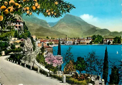 Lago di Garda - RIVA — vista panorâmica — A. Preda, n°42
