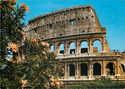 Coliseu de Roma — vista com flores em primeiro plano — Kina Italia, n°327