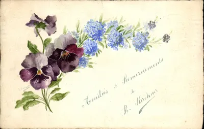 Flores — margaridas e flores azuis — R. Kirchner