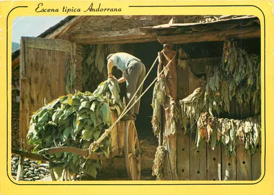 Cena típica andorrana — Scène typique Andorrana — Distributions APA-ANDORRA