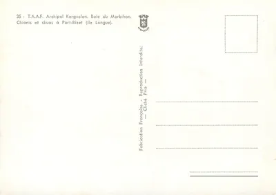 Chionis i skuasy w Port-Bizet (wyspa Longue) — Archipel Kerguelen — T.A.A.F. — n°35 — Rewers