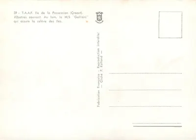 Albatros w gnieździe — Wyspa Possession (Crozet) — Wytwórnia Francuska P. Rolland — Rewers