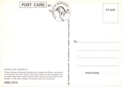 Animais da Austrália — Koala, Canguru vermelho, Dingos, Canguru albino — editor Sydney G. Hughes, série AML1014 — Verso