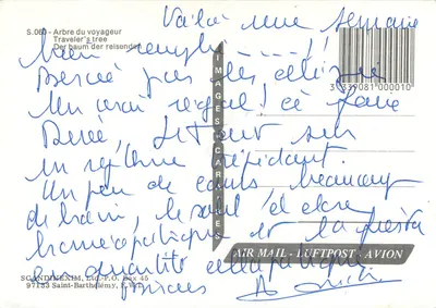Drzewo podróżnika — S.060 — SCANDINEXIM, P.O. Box 45, 97133 Saint-Barthélemy — Rewers