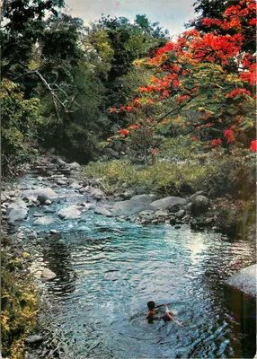 Banho no rio — S.006 — SCANDINEXIM, Ltd. - Pointe-à-Pitre, Guadalupe
