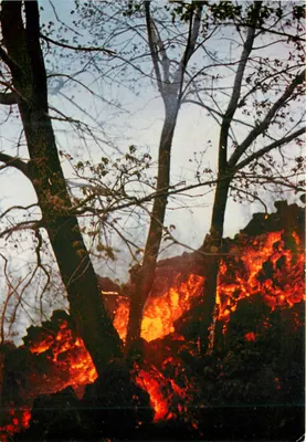 Etna - Frente do Lava — Erupção — Foto Scarpinati