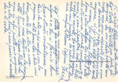 Poinsettia — illustrazione su fondo blu — Cartolina Artistica, n° 7833/76 — Verso