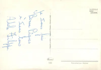Poussins i jajka świąteczne — Wydawca Eecamani, nr 7384 — Rewers