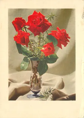 Arranjo de rosas vermelhas — editor L.G.B. PEBENTI, Bergamo, n° 394