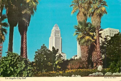 Sede da Cidade de Los Angeles — vista do edifício cercado por palmeiras — Foto de Kurt Moore