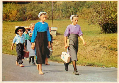 Amish Country — Crianças Amish voltando para casa da escola — Stel-Mar Super Scenics S-21