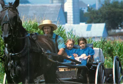 Amish Country — Um pai amish e suas duas filhas em um buggy aberto — Stel-Mar Super Scenics S-52