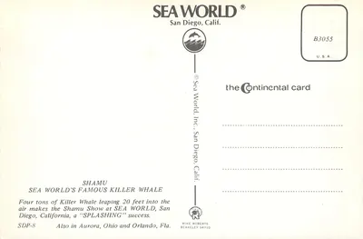 Salto espetacular de uma orca — Sea World, San Diego — Continental Card B3055 — Verso