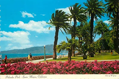 Palisades Park - Santa Monica, Califórnia - vista de flores e oceano - editor Mitock Publishers, Inc.