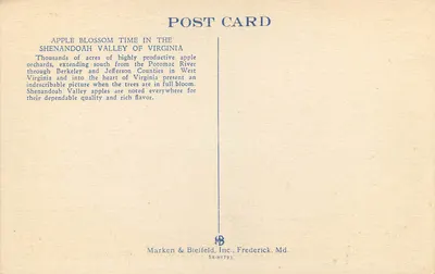 Czas kwitnienia jabłoni, Dolina Shenandoah w Wirginii — Marken & Bielfeld, Inc. n°110 — Rewers